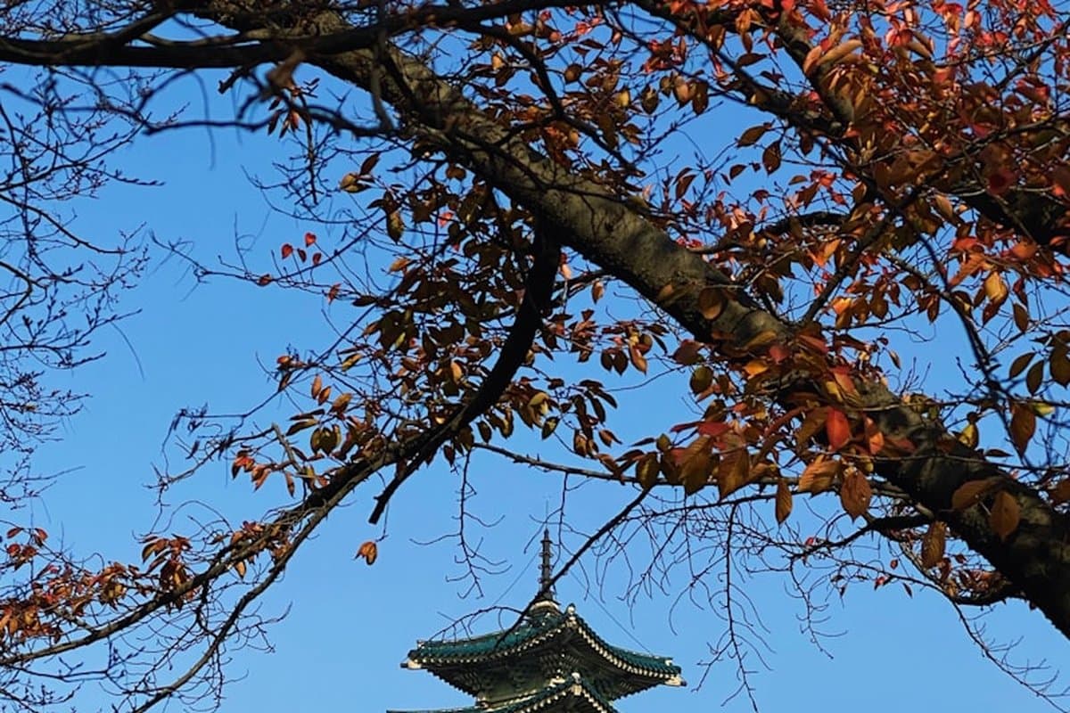 South Korea
