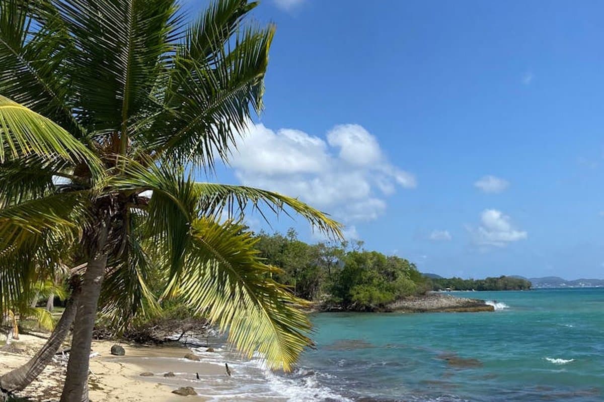 Martinique