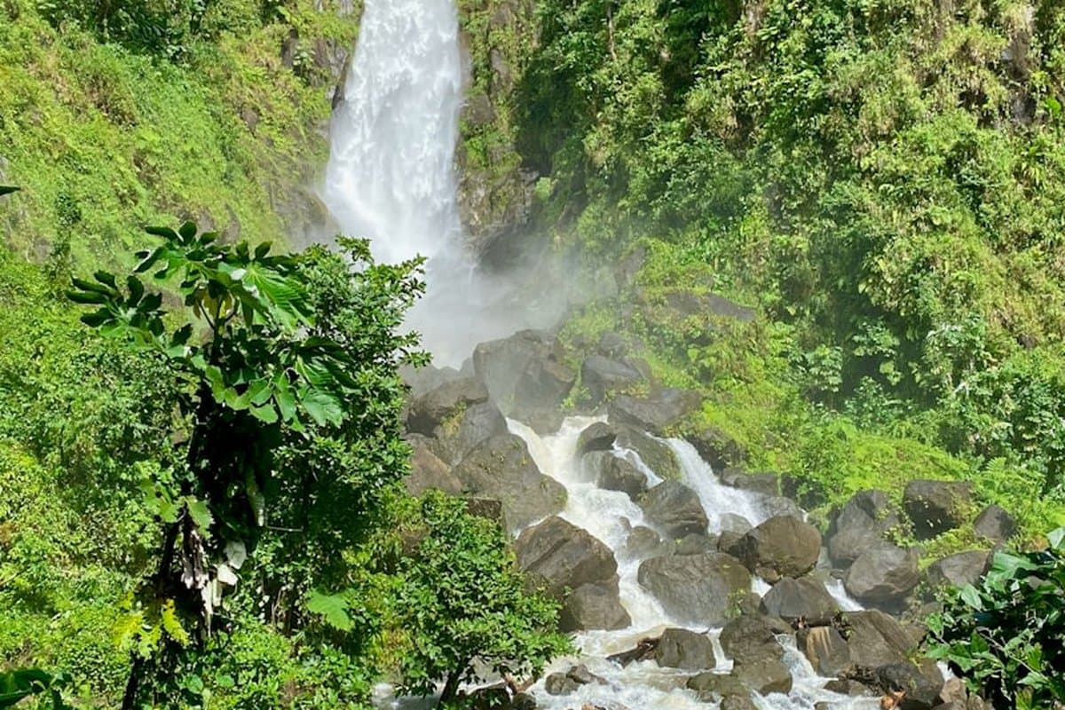 Dominica