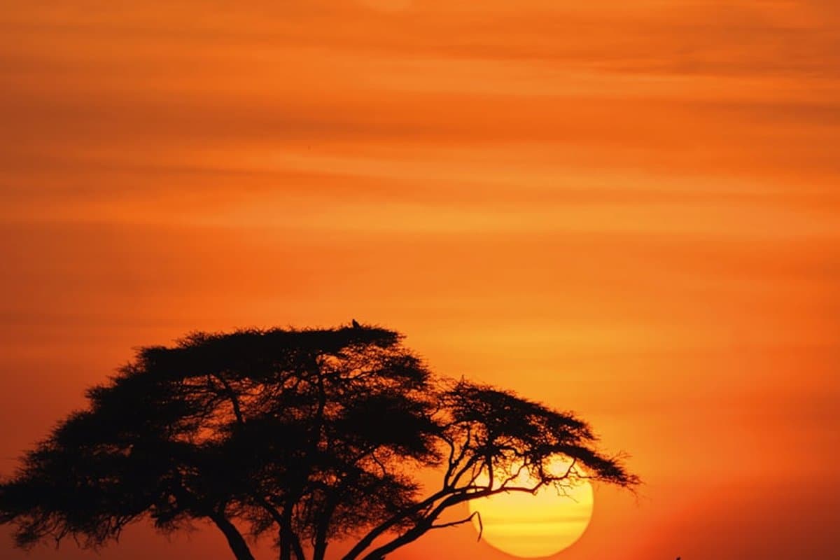 Kenya