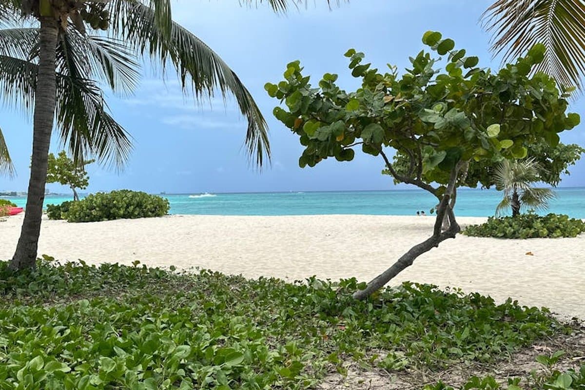 Cayman Islands