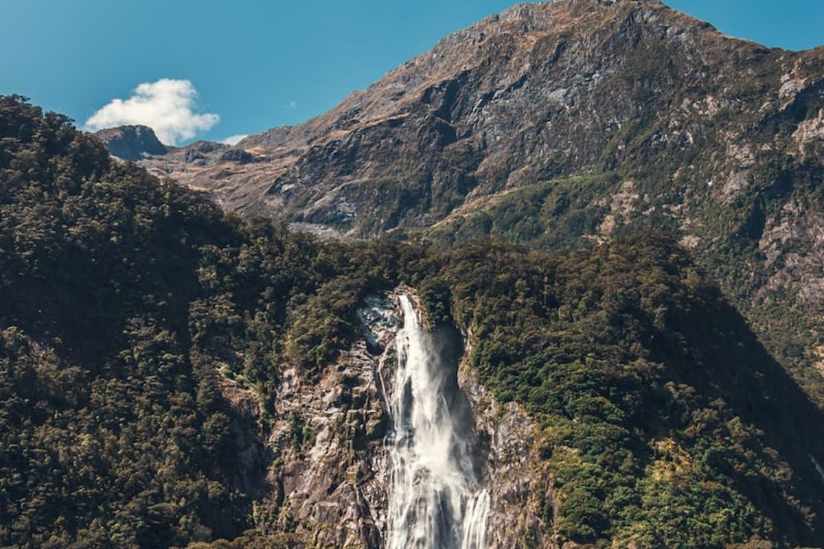 New Zealand