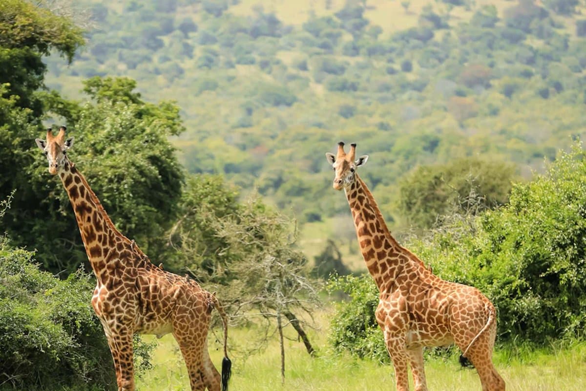 Rwanda