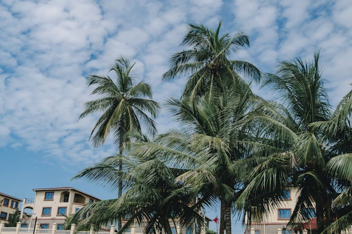 Sierra Leone