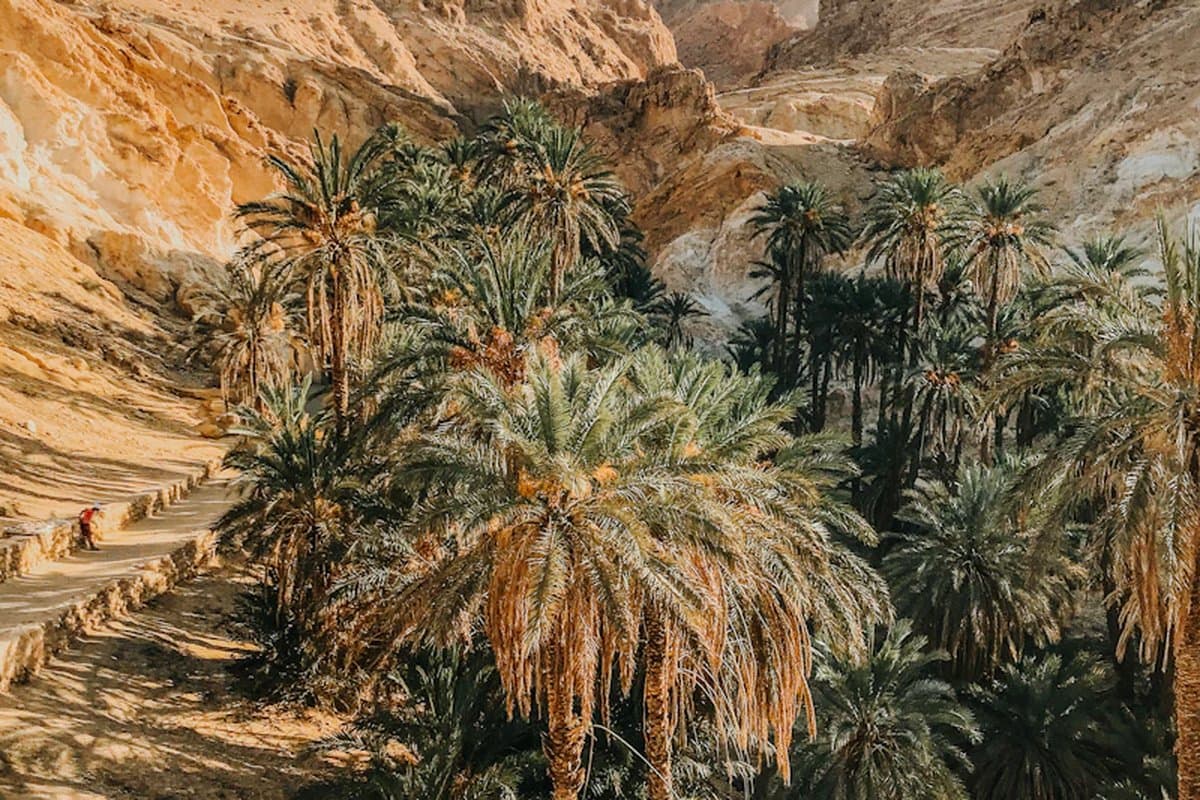 Tunisia