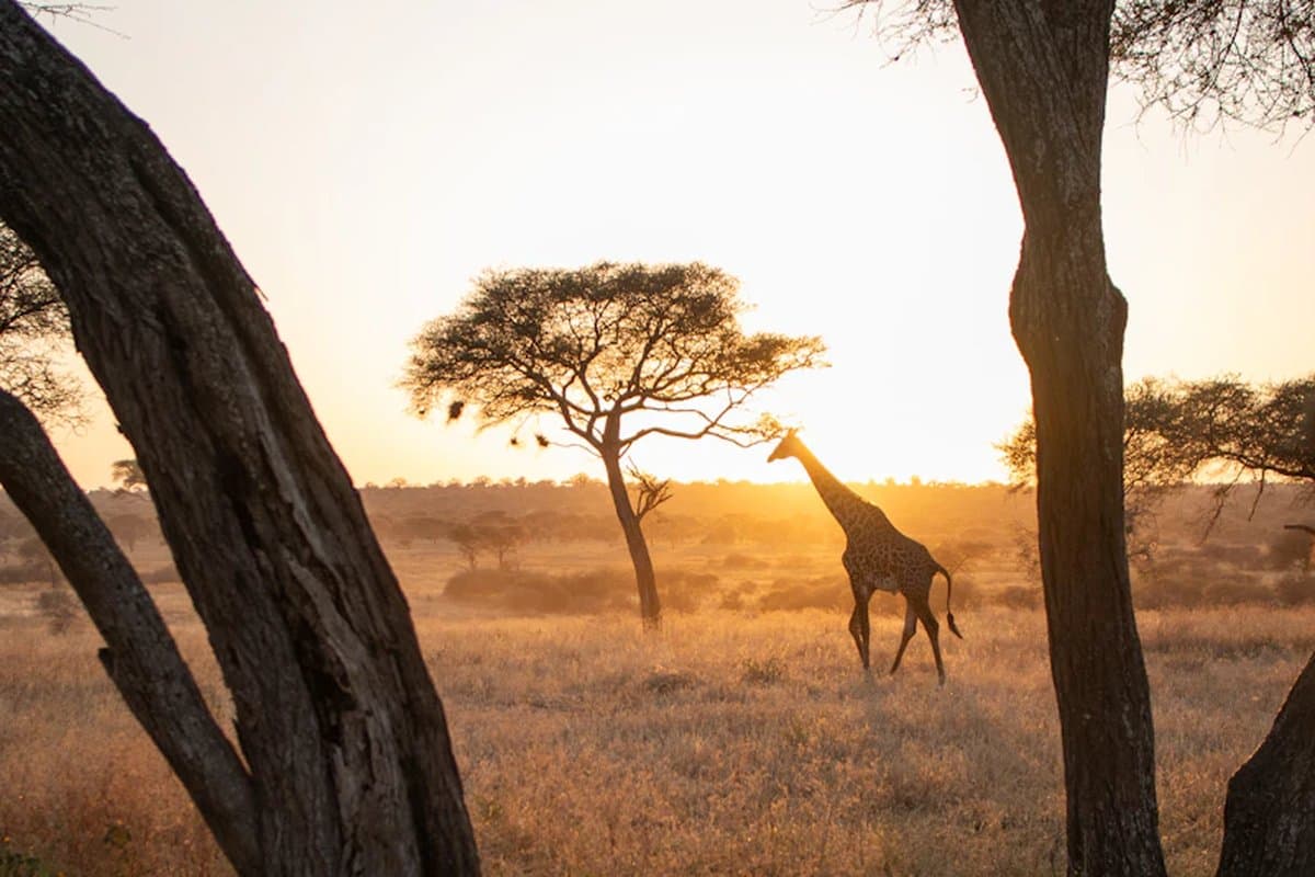 Tanzania